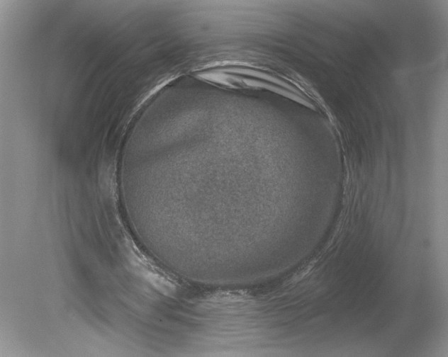 X0000079580386200612081541