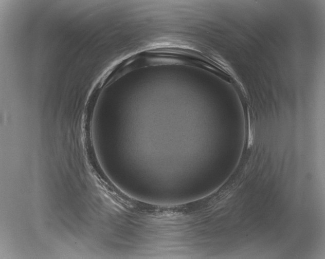 X0000079580387200612081541