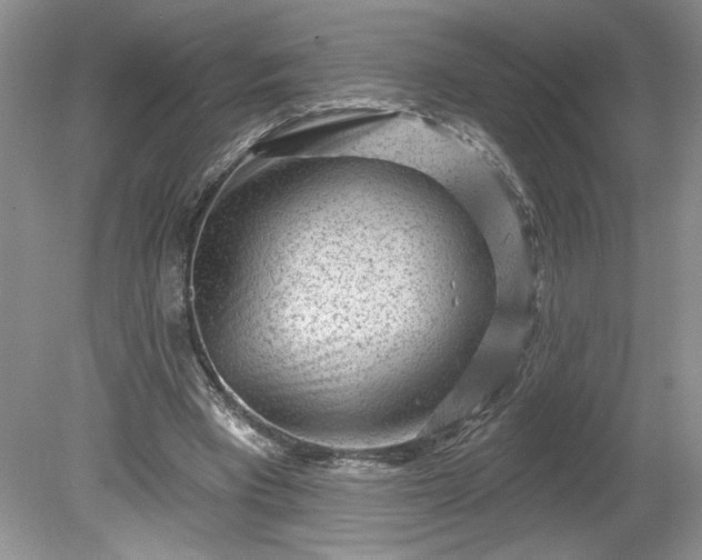 X0000079580393200612081541