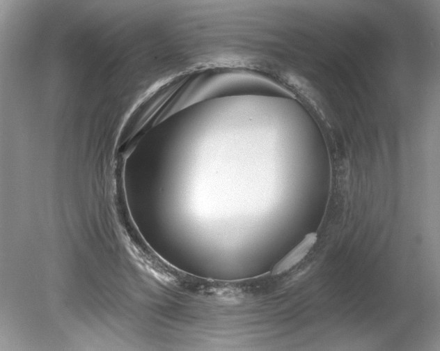 X0000079580395200612081541