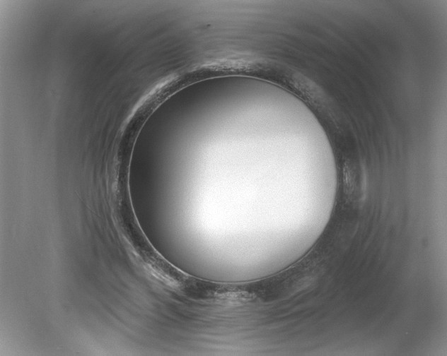X0000079580396200612081541