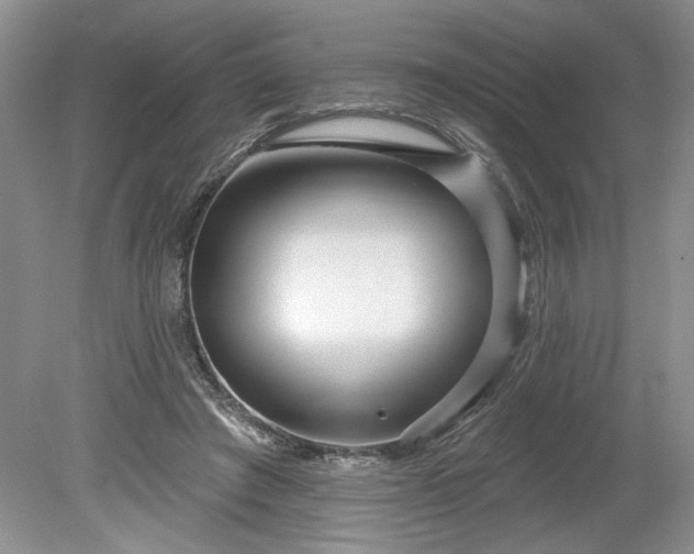 X0000079580401200612081540