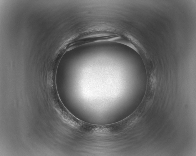 X0000079580403200612081540
