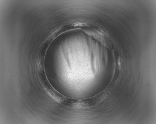 X0000079580408200612081540