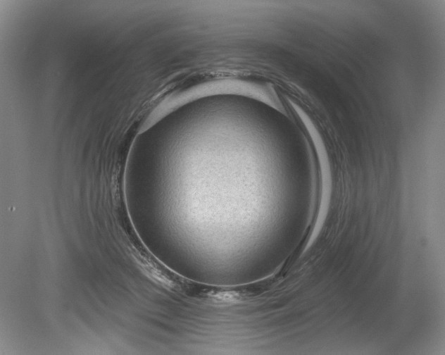 X0000079580409200612081540