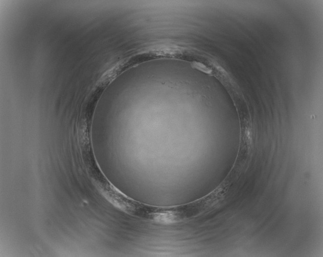 X0000079580411200612081540
