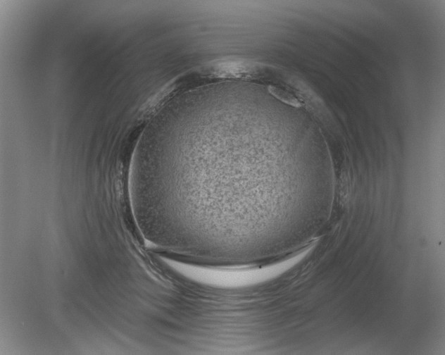 X0000079580413200612081540