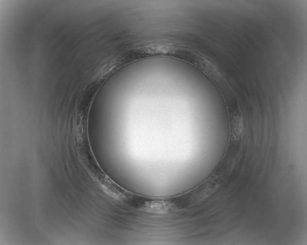 X0000079580414200612081540