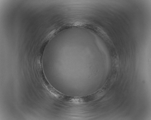 X0000079580415200612081540