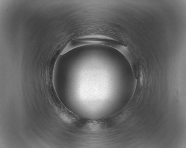 X0000079580416200612081540