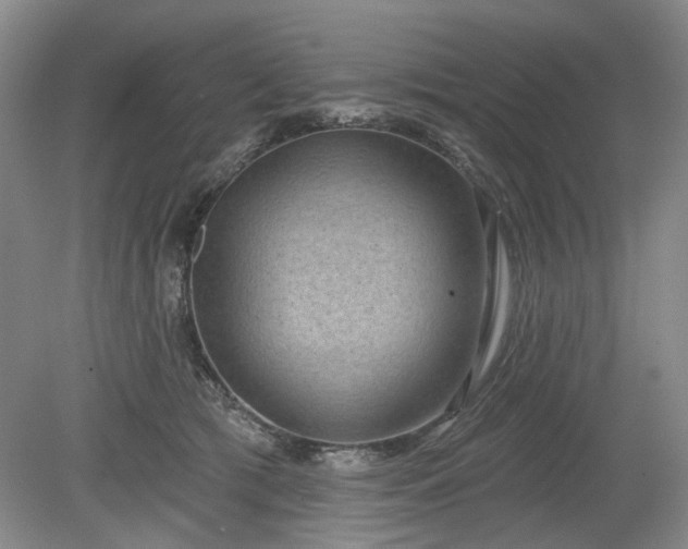 X0000079580417200612081540