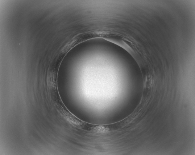 X0000079580421200612081540