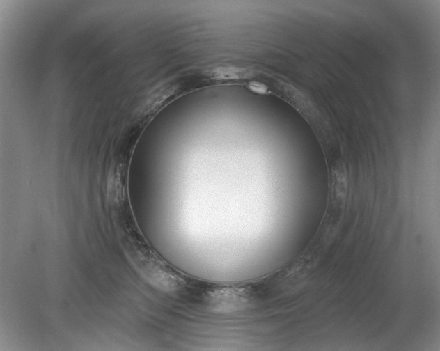X0000079580422200612081540