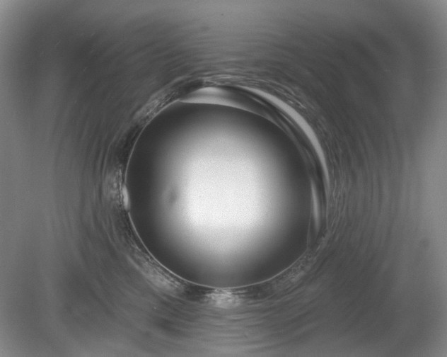 X0000079580425200612081540