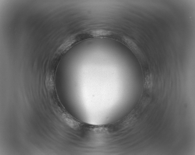X0000079580426200612081540