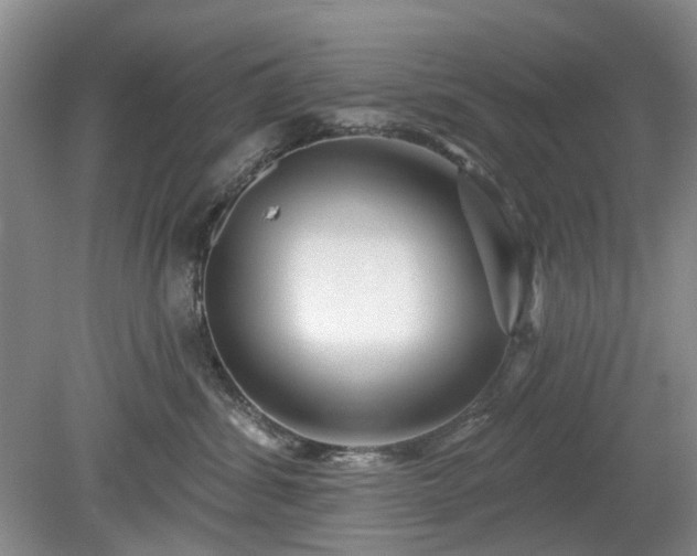 X0000079580428200612081540