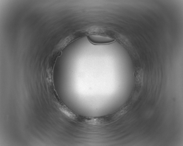 X0000079580430200612081540