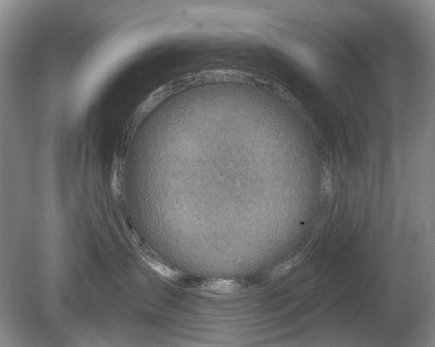 X0000079580431200612081540