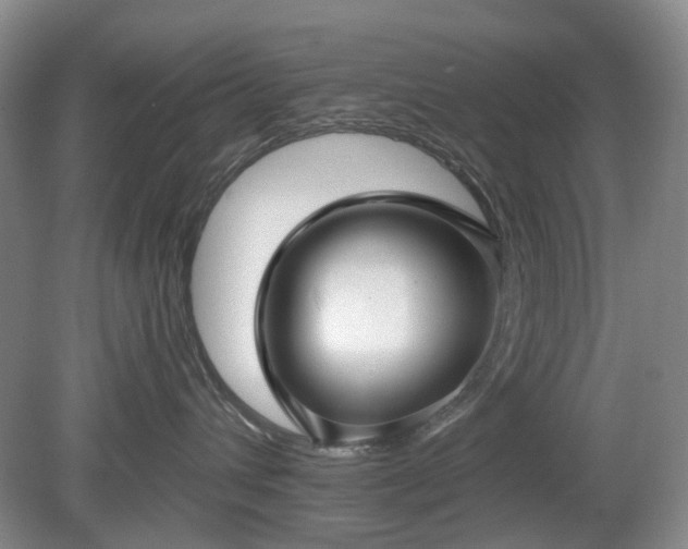 X0000079580432200612081540