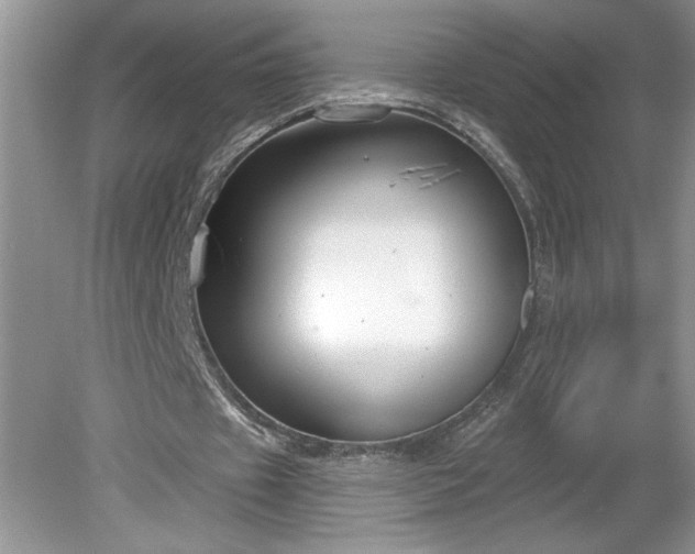X0000079580433200612081539