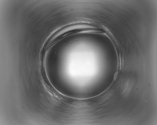 X0000079580435200612081539