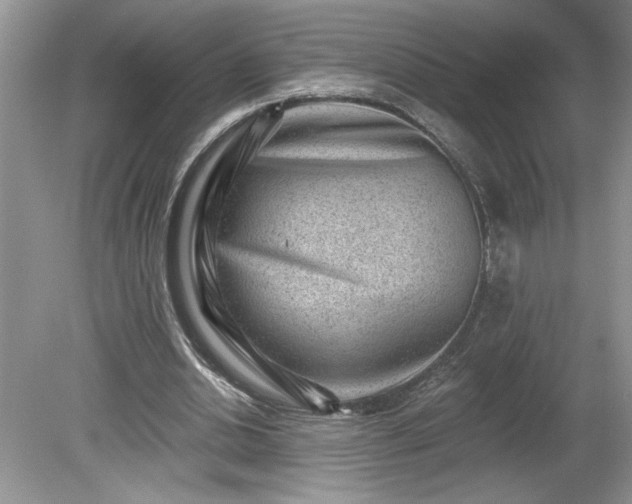 X0000079580438200612081539