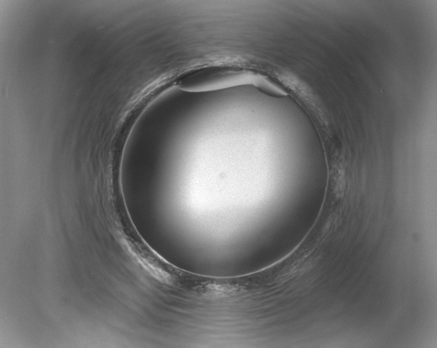 X0000079580442200612081539