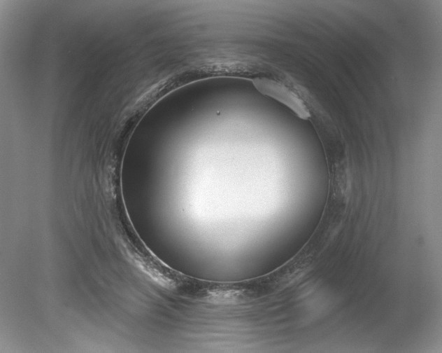 X0000079580450200612081539