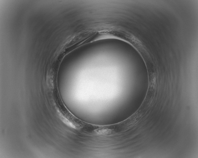 X0000079580452200612081539