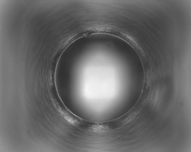 X0000079580453200612081539