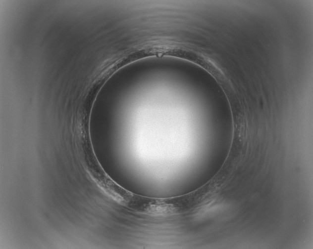 X0000079580455200612081539