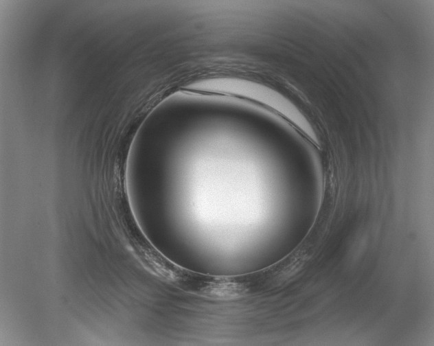 X0000079580459200612081540