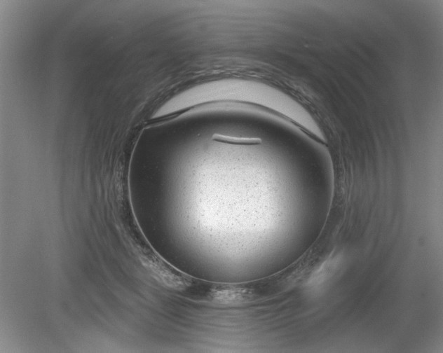 X0000079580461200612081540