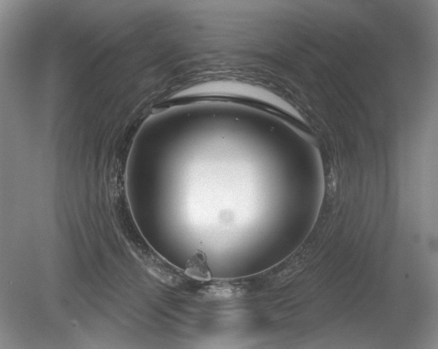 X0000079580464200612081540