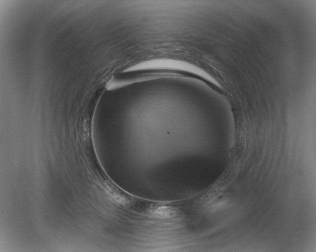 X0000079580467200612081540