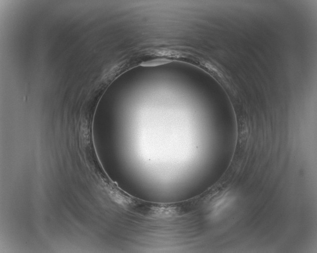 X0000079580469200612081540