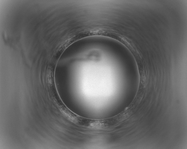 X0000079580470200612081540