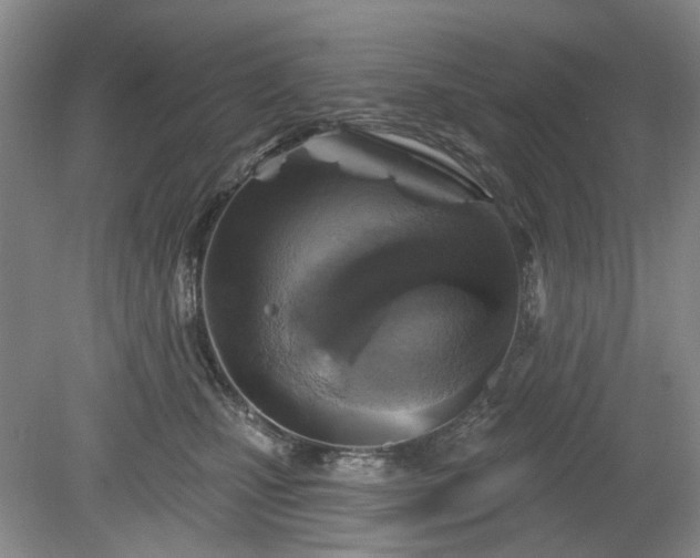 X0000079580471200612081540