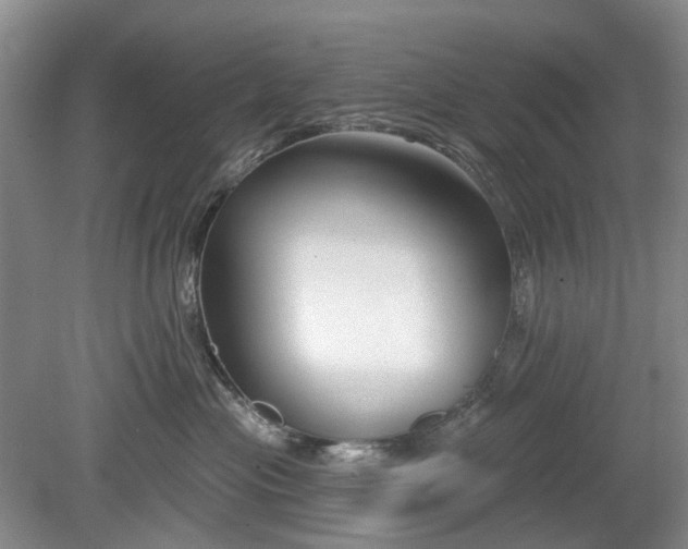 X0000079580477200612081540