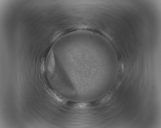 X0000079580479200612081540