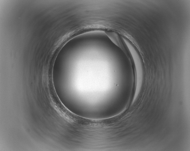 X0000079580482200612081539