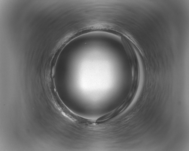X0000079580485200612081539