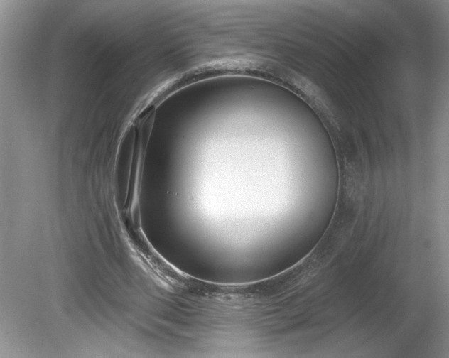 X0000079580486200612081539