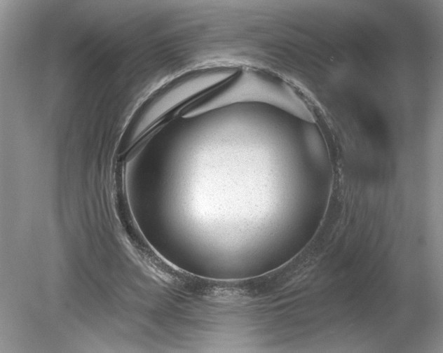 X0000079580487200612081539