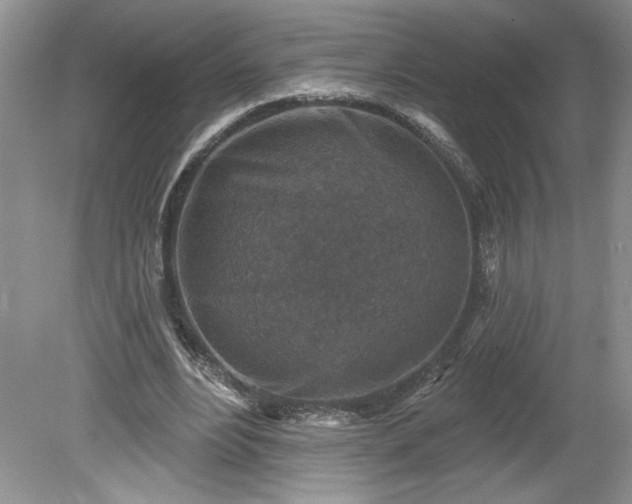 X0000079580488200612081539