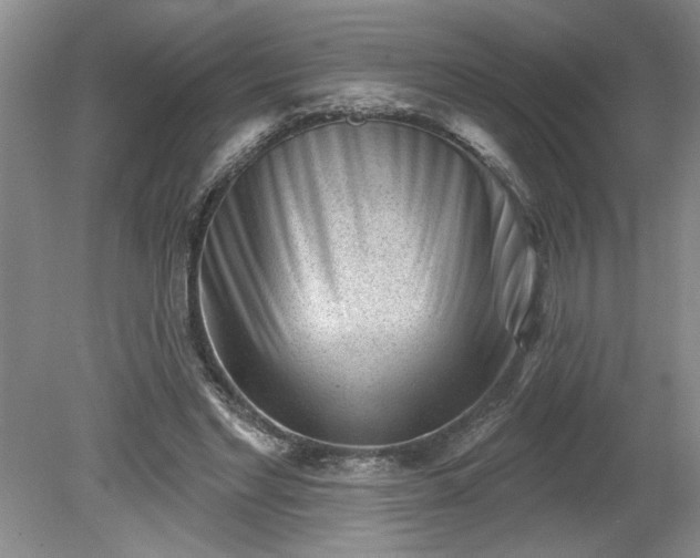 X0000079580493200612081539