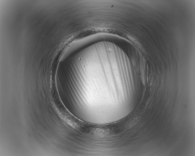 X0000079580494200612081539