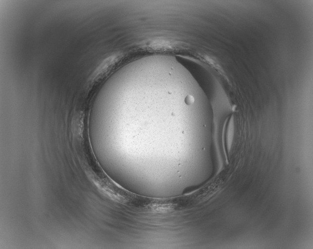 X0000079580495200612081539