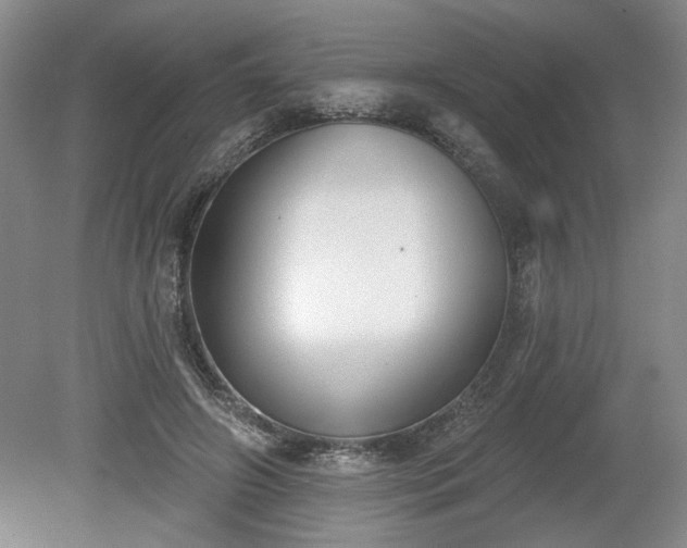 X0000079580498200612081539