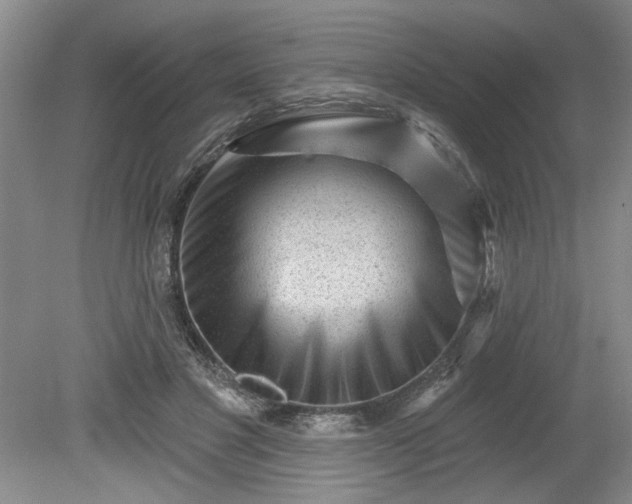 X0000079580501200612081539
